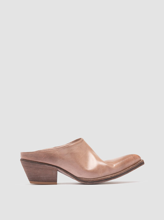 WANDA DD/101 IGNIS T. HUMUS