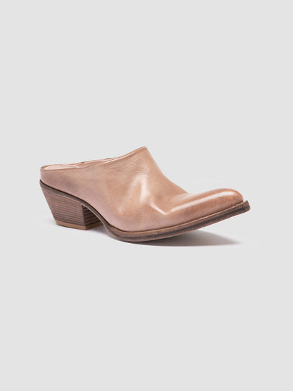 WANDA DD/101 IGNIS T. HUMUS