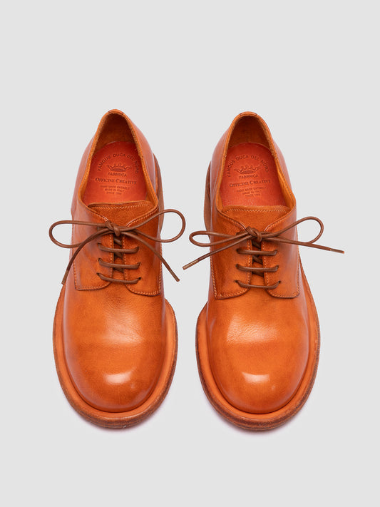 WILDS 011/S IGNIS T. RUSSET