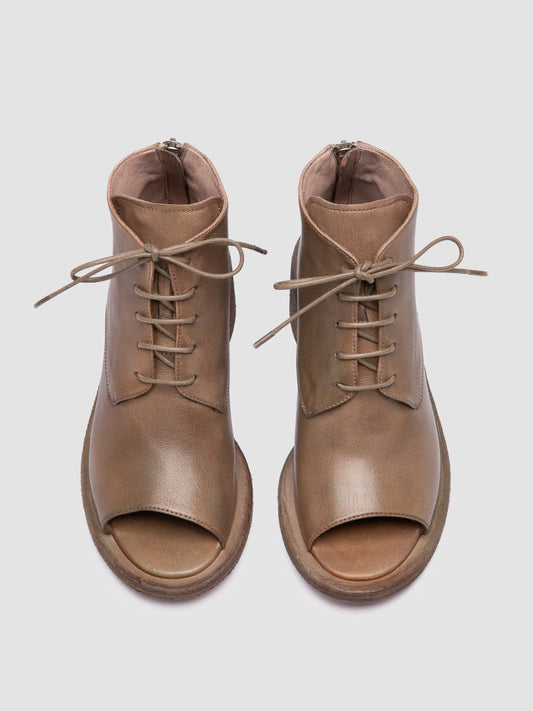 WILDS 012/S IGNIS T. HUMUS