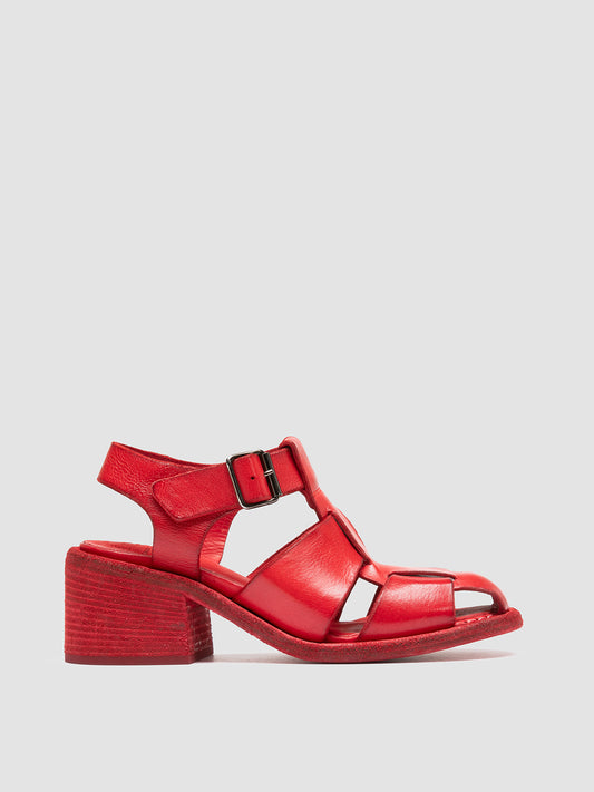 WILDS 015/S IGNIS T. CORAL