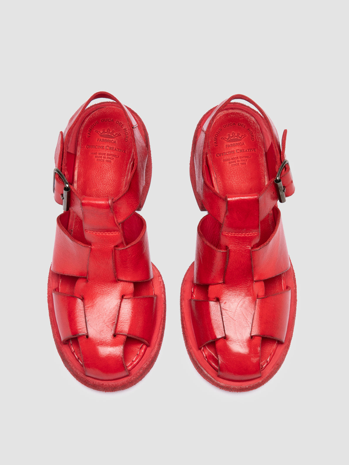 WILDS 015/S IGNIS T. CORAL