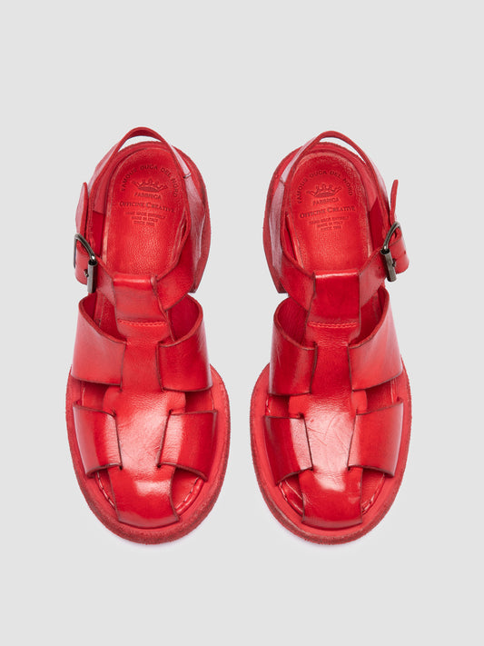 WILDS 015/S IGNIS T. CORAL