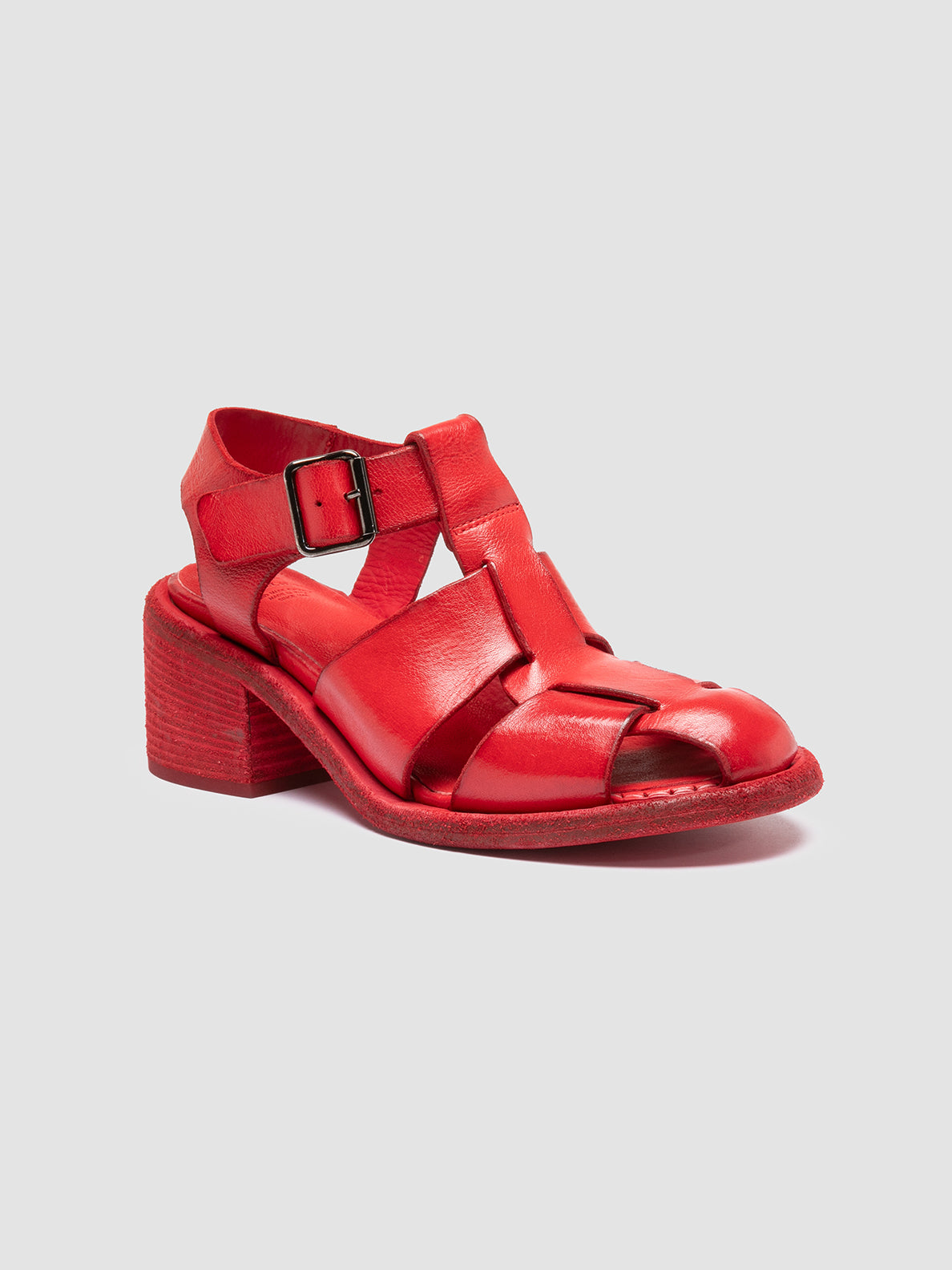 WILDS 015/S IGNIS T. CORAL