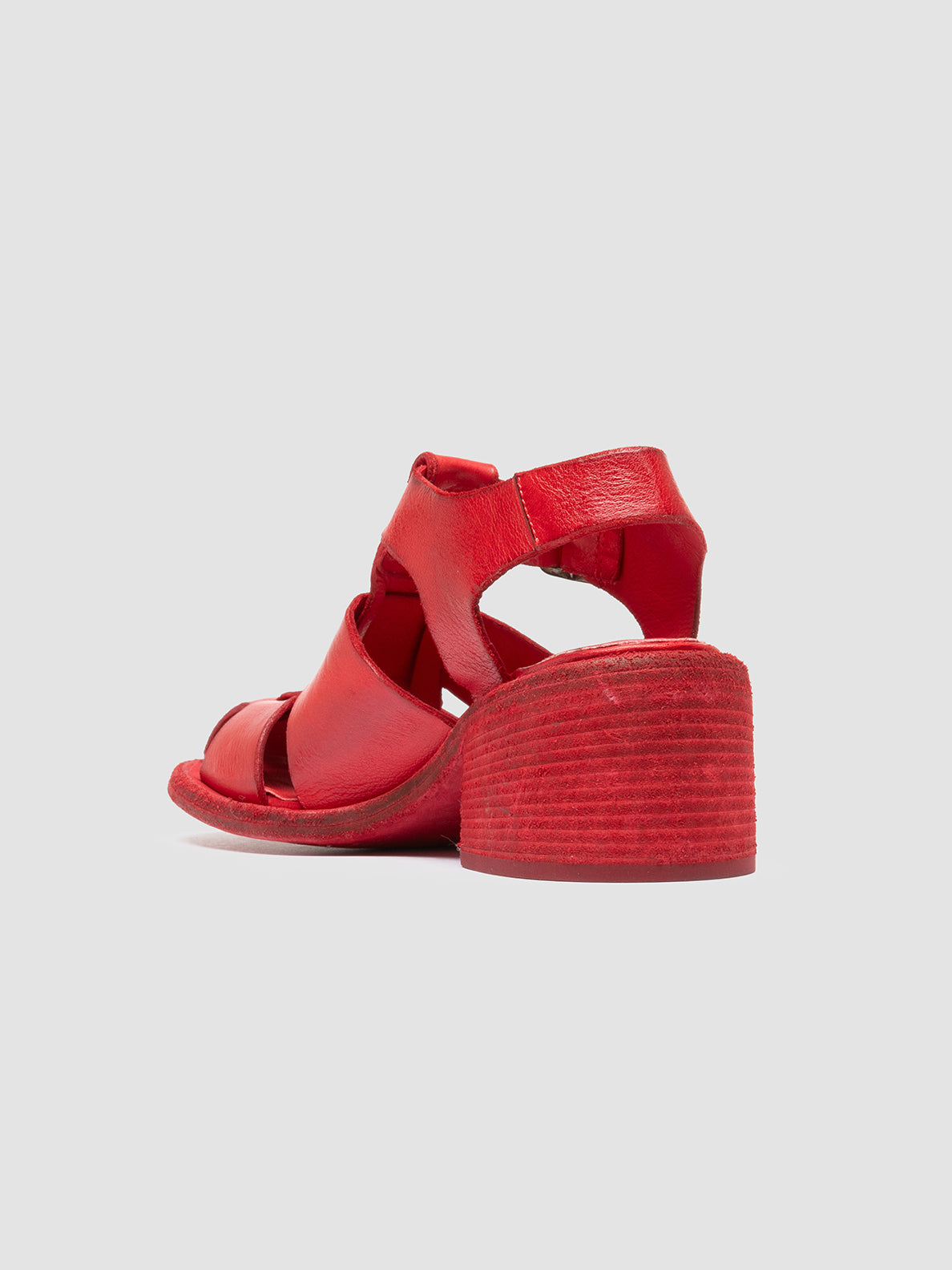 WILDS 015/S IGNIS T. CORAL