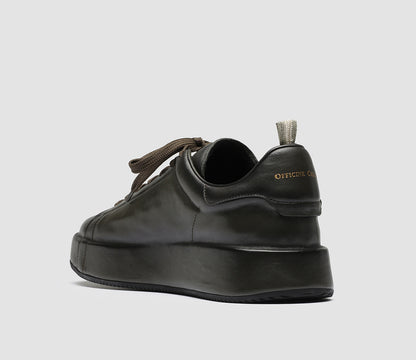 ACEPLUS/001 AERO GUANTERIA BOSCO