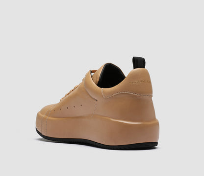 ACEPLUS/104 GUANTERIA GOBI