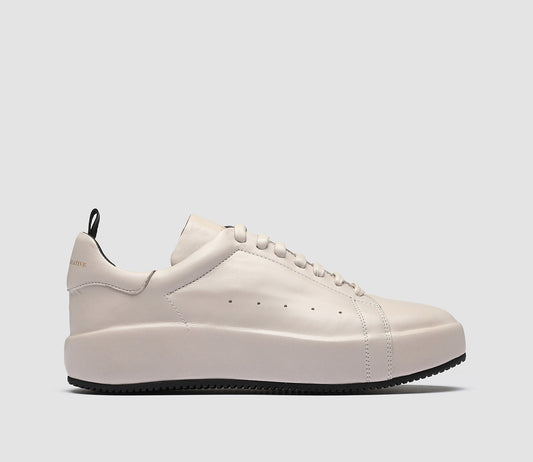 ACEPLUS/104 GUANTERIA NEBBIA