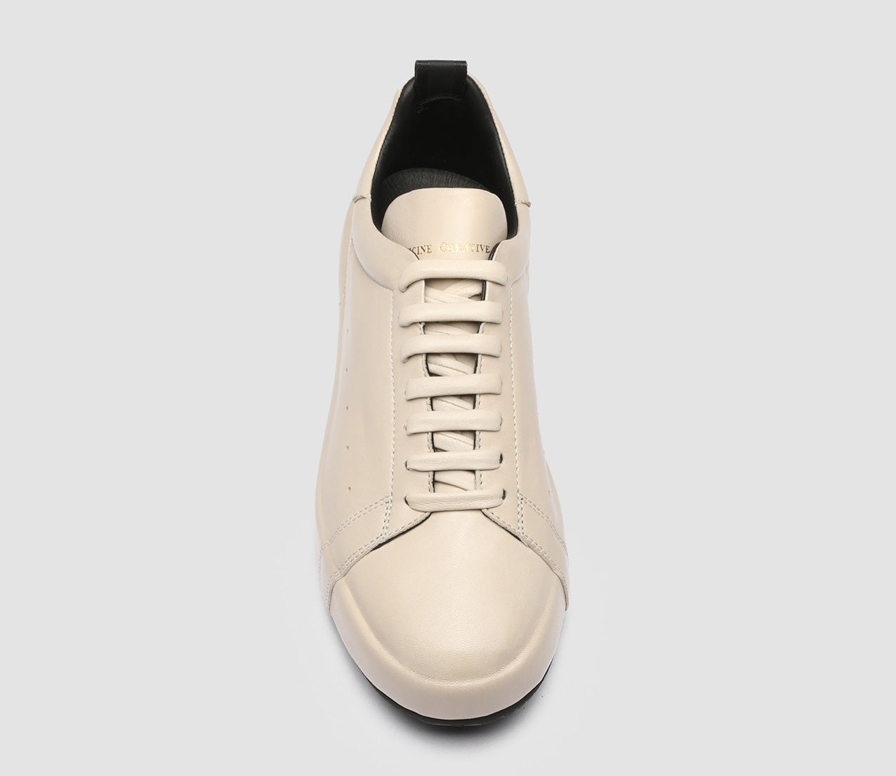 ACEPLUS/104 GUANTERIA NEBBIA