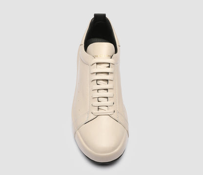 ACEPLUS/104 GUANTERIA NEBBIA