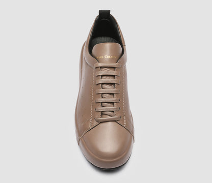 ACEPLUS/104 GUANTERIA WALNUT