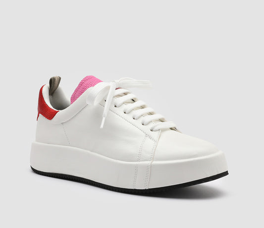 ACEPLUS/103 GUANTERIA/LUCER BIANCO/FUXIA/ROSSO