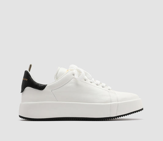ACEPLUS/103 GUANTERIA/LUCER BIANCO/NERO