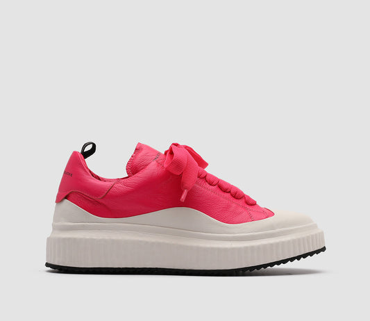 ARRAN/001 FRIDA/TECNO CAMELIA/FUXIA