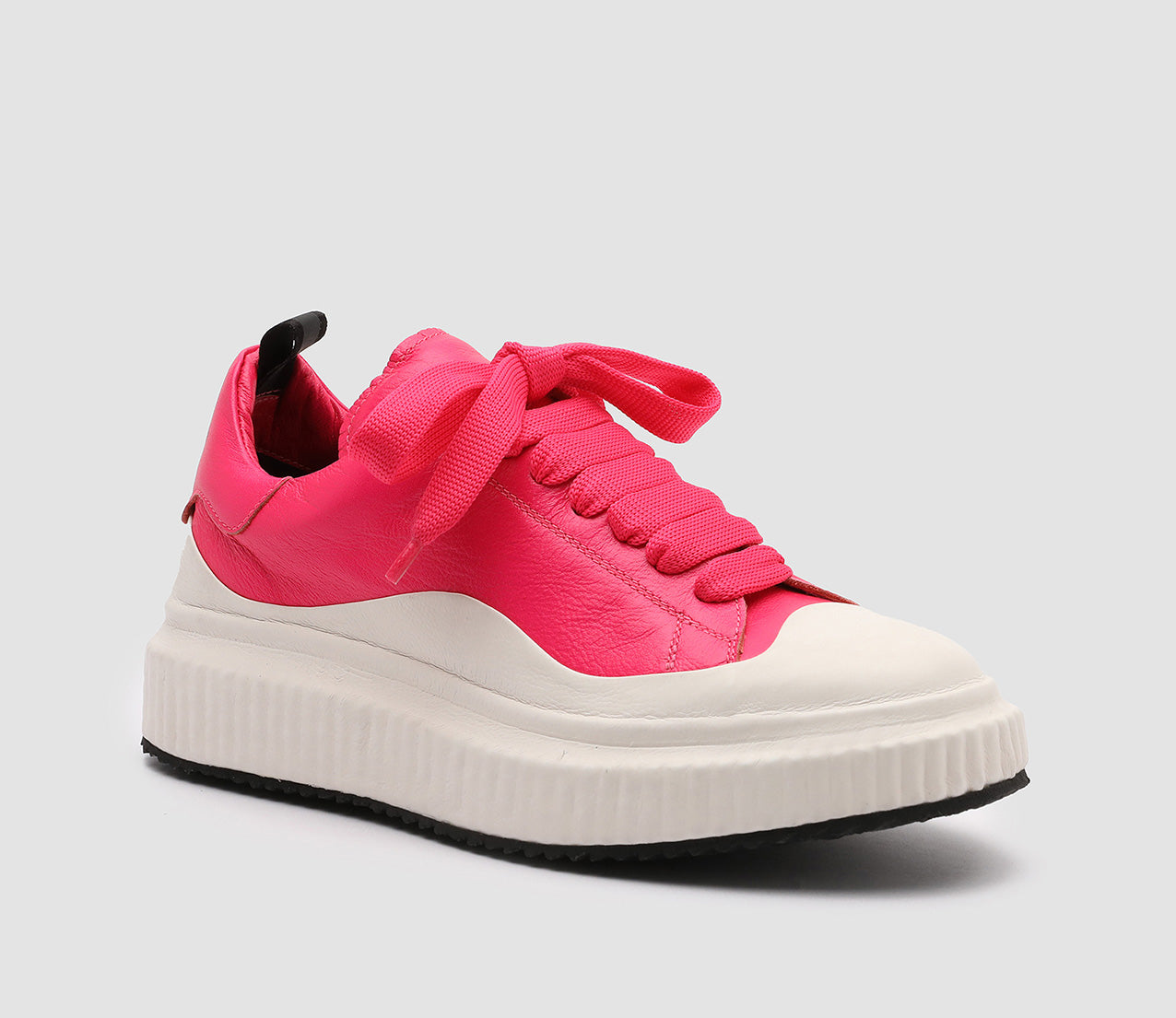 ARRAN/001 FRIDA/TECNO CAMELIA/FUXIA