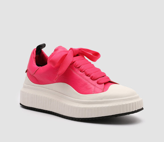 ARRAN/001 FRIDA/TECNO CAMELIA/FUXIA