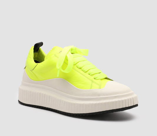 ARRAN/001 FRIDA/TECNO CAMELIA/LIME